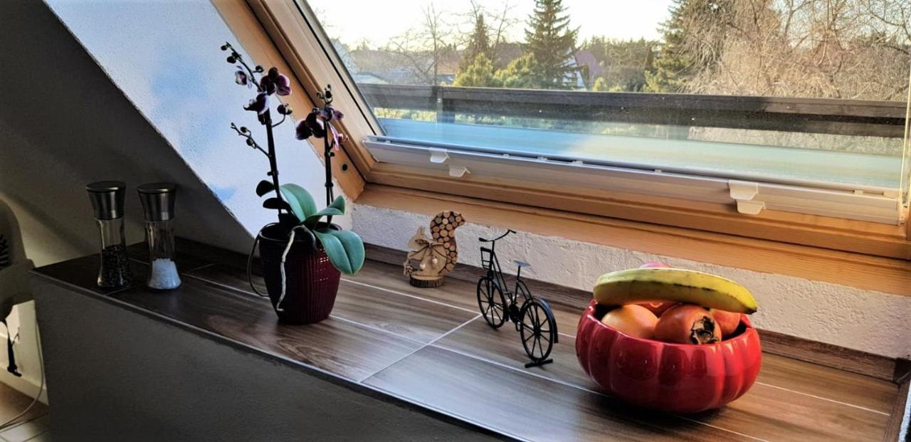 Ferienwohnung Am Park Leipzig Ngoại thất bức ảnh